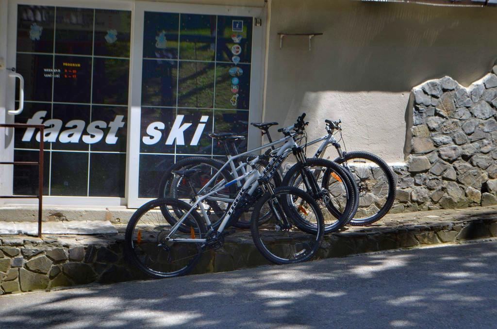 Pensiunea Faast Predeal Exterior foto